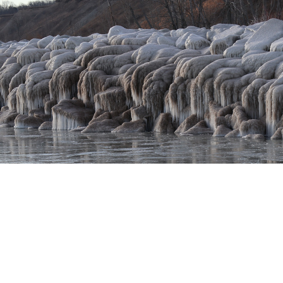 Meet your Posher, Dave - Picture 4 of 5